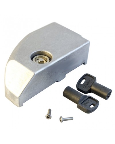 Дверца замка разблокировки BK Came 119RIBK012 в Новороссийске Запчасти для шлагбаумов и автоматики Pintop.ru