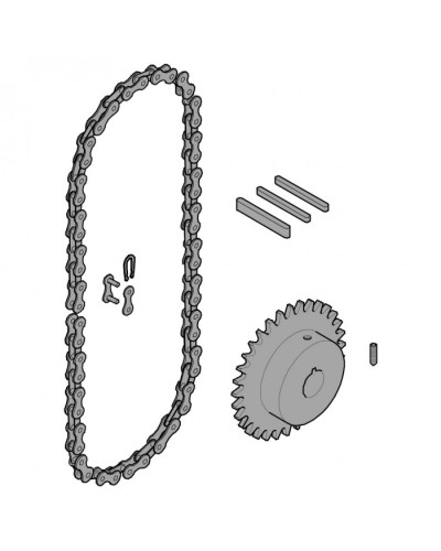 Передающая система (цепь и звездочки) C005 Came 119RICX016 в Новороссийске Запчасти для шлагбаумов и автоматики Pintop.ru