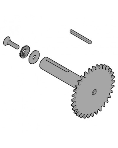 Звездочка C003 C004 C005 Came 119RICX013 в Новороссийске Запчасти для шлагбаумов и автоматики Pintop.ru