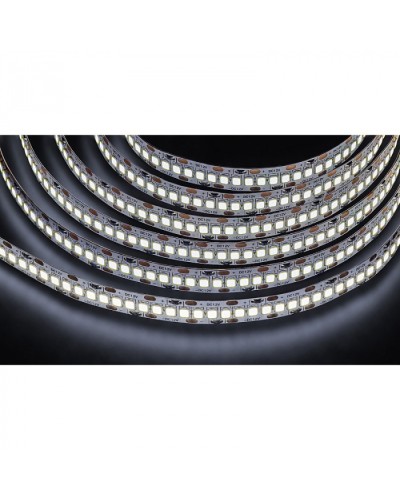 Лента светодиодная Navigator 14 459 NLS-2835CW240-24-IP20-12V в Новороссийске Источники света(Лампы) Pintop.ru