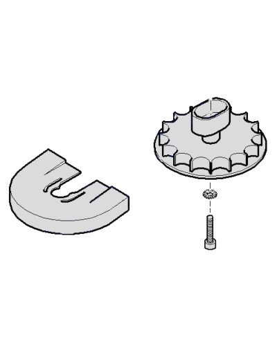 Шестеренка для C001 Came 119RICX004 в Новороссийске Запчасти для шлагбаумов и автоматики Pintop.ru