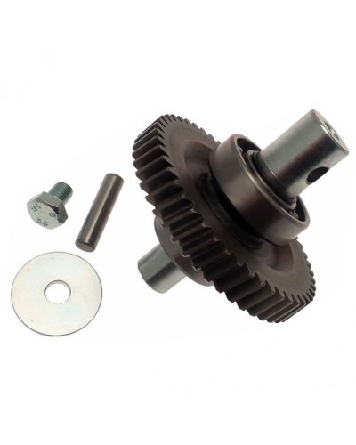 Шестерня редуктора FAST в сборе Came 119RID229 в Новороссийске Запчасти для шлагбаумов и автоматики Pintop.ru