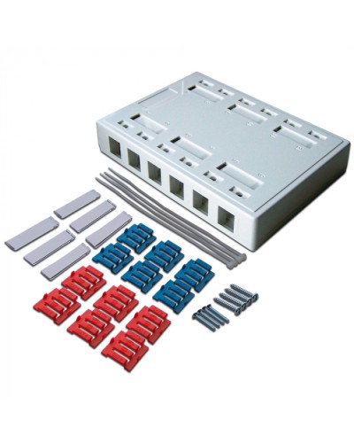 Коробка настенная на 12 кейстоунов, белая LANMASTER (LAN-MB-12K-WH) в Новороссийске Распределительные коробки Pintop.ru