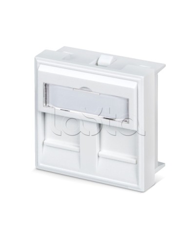 Вставка 45x45 (аналог Mosaic) для 2 модулей формата Keystone Jack Cabeus FP-45-2M в Новороссийске Модули Keystone Pintop.ru