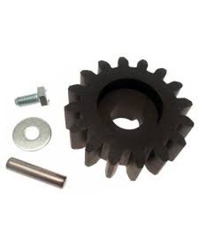 Шестерня для цепной передачи Came 119RIBK036 в Новороссийске Запчасти для шлагбаумов и автоматики Pintop.ru