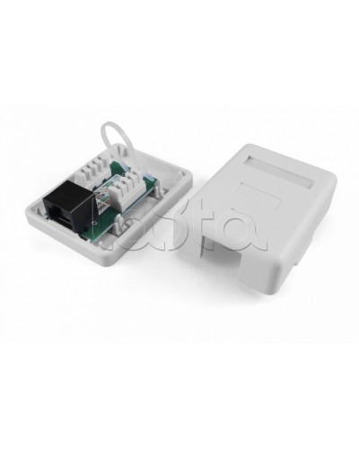 Розетка компьютерная RJ-45(8P8C) Hyperline SB1-2-8P8C-C6-SH-WH в Новороссийске Розетки компьютерные и телефонные Pintop.ru