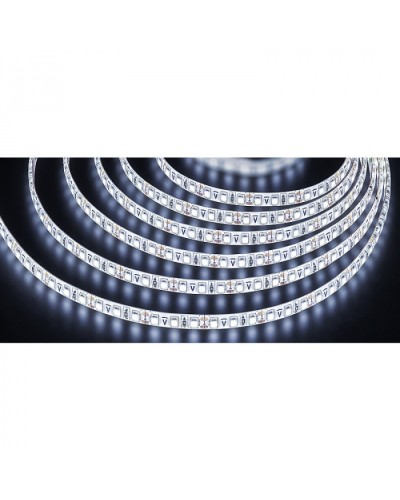 Лента светодиодная Navigator 71 706 NLS-3528CW120-9.6-IP65-12V-Pro R5 в Новороссийске Источники света(Лампы) Pintop.ru