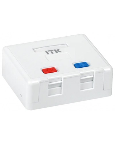 Корпус настенной розетки для 2 мод. Keystone Jack ITK (CS2-022) в Новороссийске Коннекторы Pintop.ru