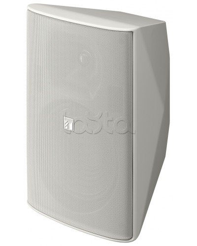 Громкоговоритель 2 полосный TOA F-2000 WT в Новороссийске Системы оповещения и трансляции TOA Pintop.ru