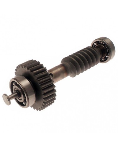 Червяк редуктора FAST в сборе Came 119RID228 в Новороссийске Запчасти для шлагбаумов и автоматики Pintop.ru