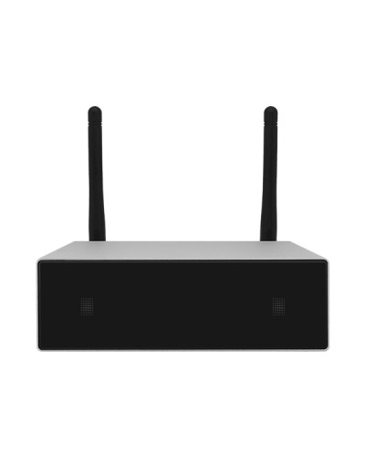 Усилитель потоковой передачи WIFI DSPPA DW-0250 в Новороссийске Система оповещения и трансляции Dsppa Pintop.ru