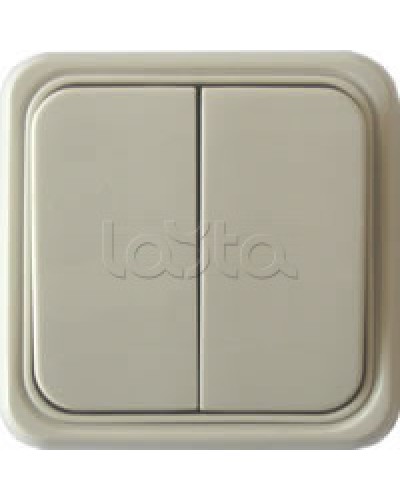 Выключатель двухклавишный открытой установки Экопласт, схема 5, (бежевый) в Новороссийске Розетки компьютерные и телефонные Pintop.ru