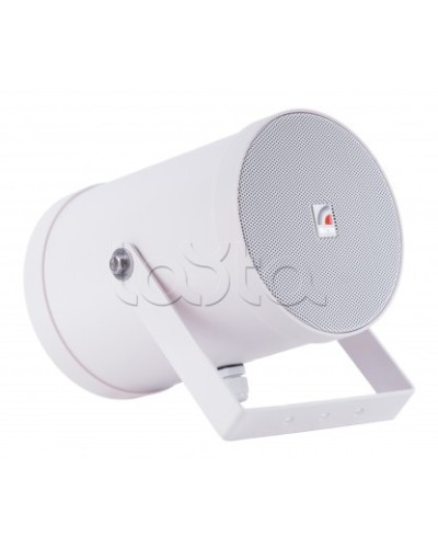 Двунаправленный Прожектор звуковой ROXTON SW-10T2 в Новороссийске Система оповещения и трансляции Roxton Pintop.ru