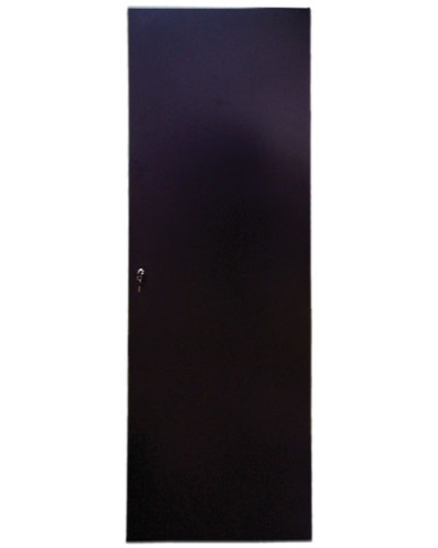 Дверь задняя для шкафов серии Business металл, 42U, ширина 600 мм TWT TWT-CBB-DRM1-42U-6 в Новороссийске Аксессуары для стоек и шкафов Pintop.ru