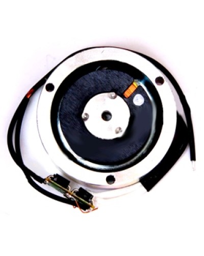 Электромагнит BY1500T Came 119RIY034 в Новороссийске Запчасти для шлагбаумов и автоматики Pintop.ru