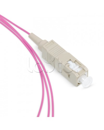 Пигтейл SC 50/125 mm (OM4) 1.5м LSZH Cabeus PT-SC-50-OM4 в Новороссийске Пигтейлы Pintop.ru