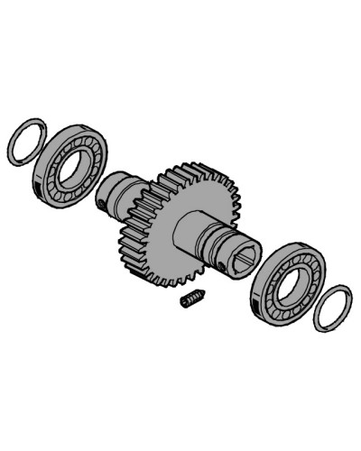 Вал выходной EMEGA Came 119RIE062 в Новороссийске Запчасти для шлагбаумов и автоматики Pintop.ru