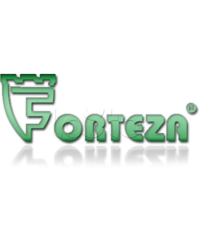 Плата сменная Forteza Плата БГр-4 в Новороссийске Устройства защиты операционных процессоров (ОПС) Pintop.ru