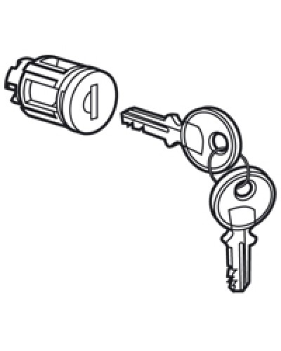 Цилиндр встроенный под ключ №405 Legrand 020291 в Новороссийске Дополнительное оборудование для сетей Pintop.ru