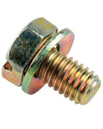 Винт с шайбой М6х10мм TH Legrand 036775 в Новороссийске Крепеж Pintop.ru