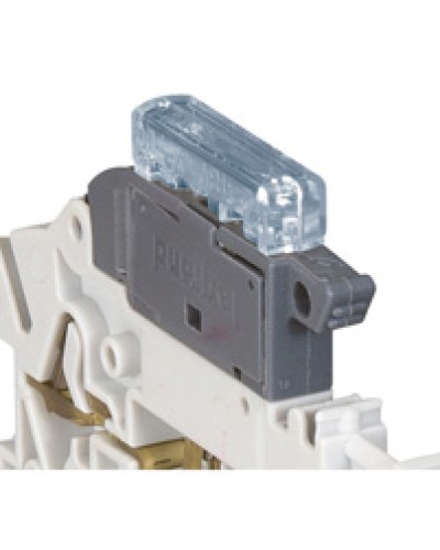 Индикатор срабатывания Legrand 037525 в Новороссийске Аксессуары для кабель-канала Pintop.ru