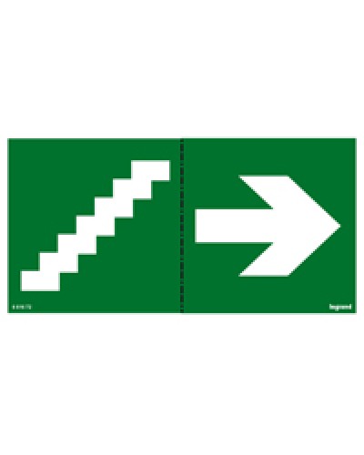 Пиктограмма 100х200 лестница стрелка Legrand 661672 в Новороссийске Дополнительное оборудование для ОПС Pintop.ru