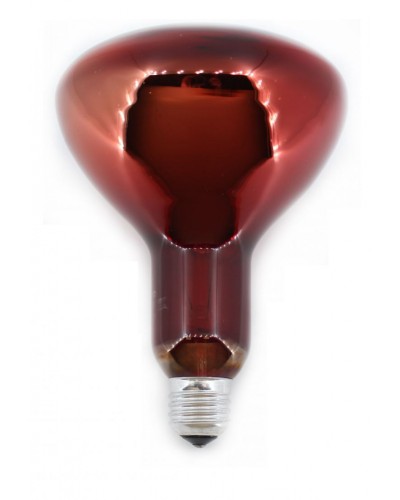 Термоизлучатель Navigator 80 817 NI-R127-250-220-Е27-ИКЗК в Новороссийске Источники света(Лампы) Pintop.ru