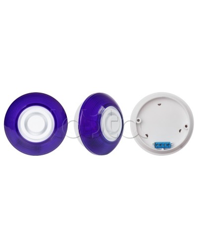 Оповещатель комбинированный SLT Марс 12-КП (строб, син) в Новороссийске Оповещатели Pintop.ru