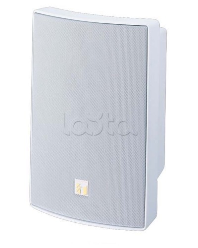 Громкоговоритель универсальный двухполосный TOA BS-1030W в Новороссийске Системы оповещения и трансляции TOA Pintop.ru