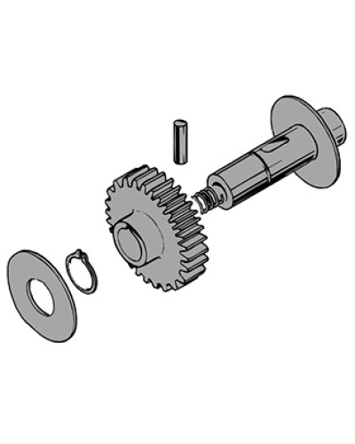 Вал в сборе C100 Came 119RIC011 в Новороссийске Запчасти для шлагбаумов и автоматики Pintop.ru