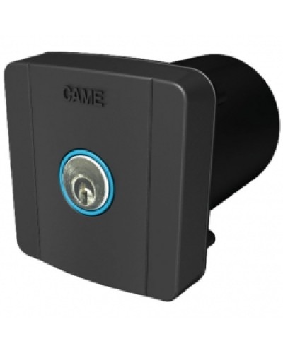 Ключ-выключатель встраиваемый Came 806SL-0020 в Новороссийске Запчасти для шлагбаумов и автоматики Pintop.ru