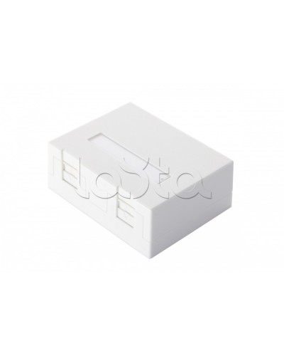 Настенная коробка 2-портовая со шторками, белый Eurolan (12B-04-02WT-2) в Новороссийске Розетки компьютерные и телефонные Pintop.ru