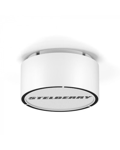 Громкоговоритель STELBERRY F-306W в Новороссийске Акустические системы Pintop.ru