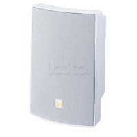 Громкоговоритель универсальный двухполосный TOA BS-1030W