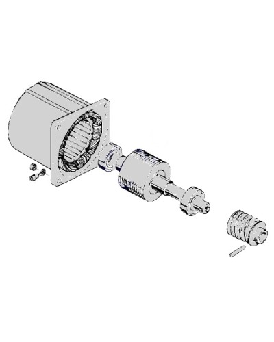 Электродвигатель С-100 Came 119RIC052 в Новороссийске Запчасти для шлагбаумов и автоматики Pintop.ru