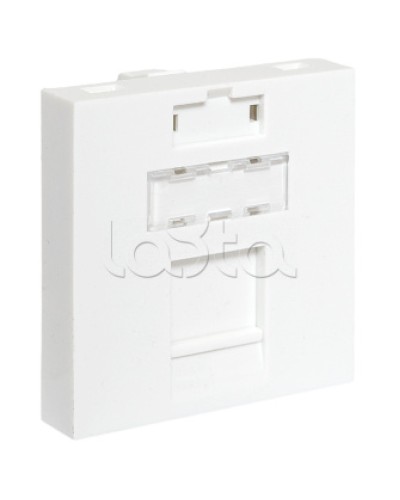 Вставка розеточная TERACOM PRO 45x45мм формат Mosaic на 1 модуль Keystone белая EKF (TRP-INS-MOS-2M1P-WH) в Новороссийске Розетки компьютерные и телефонные Pintop.ru