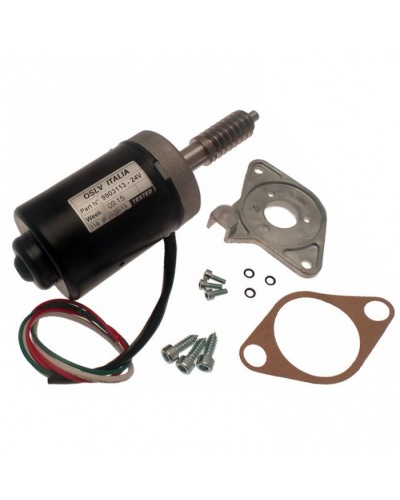 Электродвигатель BX-243 в сборе Came 119RIBX046 в Новороссийске Запчасти для шлагбаумов и автоматики Pintop.ru