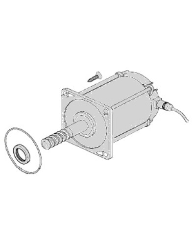 Электродвигатель Came 119RIA025 в Новороссийске Запчасти для шлагбаумов и автоматики Pintop.ru
